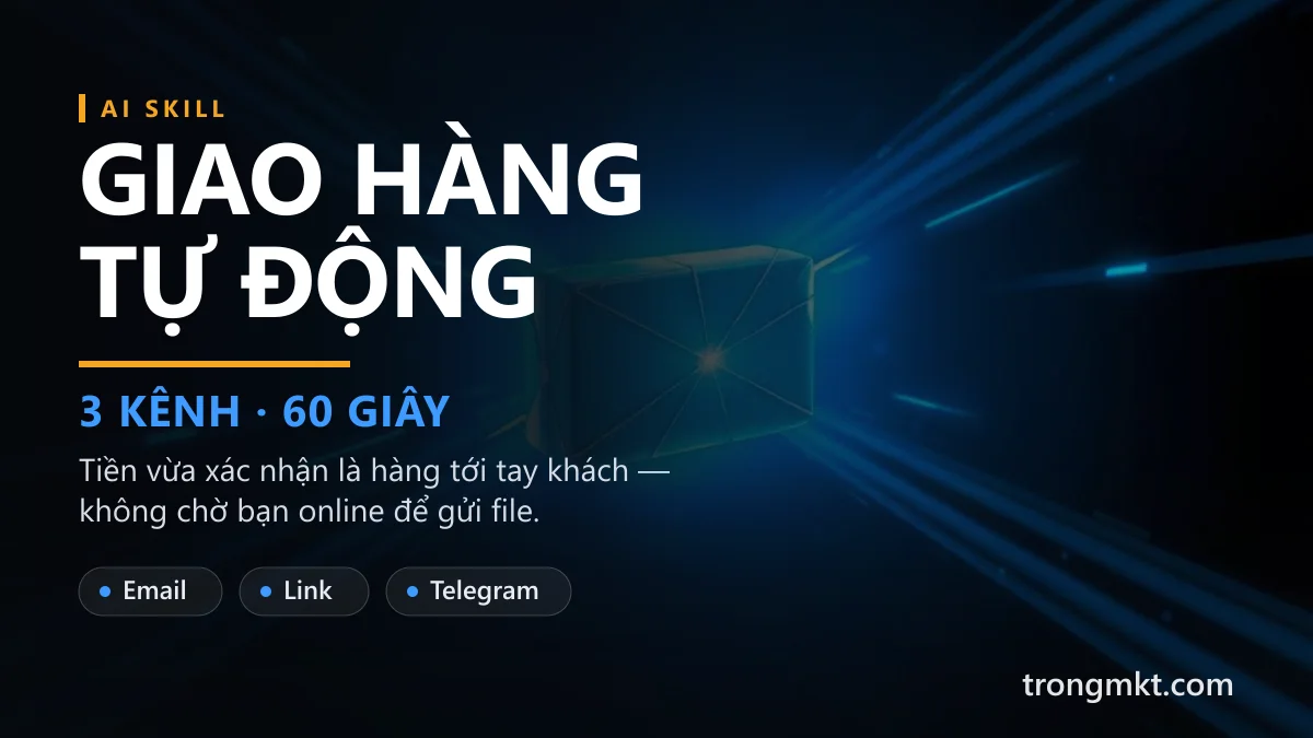 Giao Hàng Số Tự Động