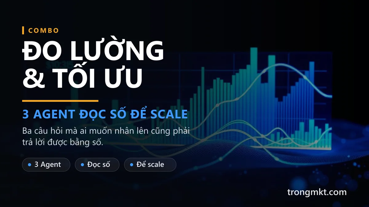 Combo Đo Lường & Tối Ưu